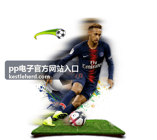 pp电子官方网站入口玩法参考封面