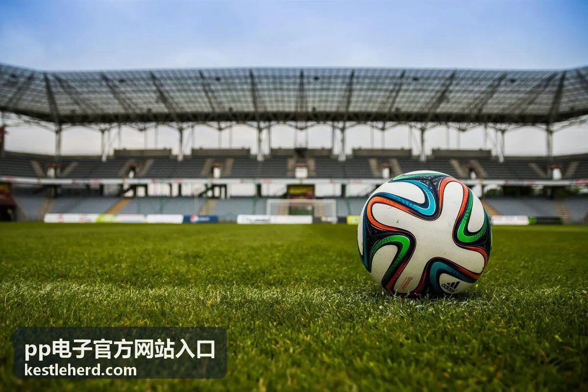 pp电子官方网站入口异常登录提醒通道设置示意图